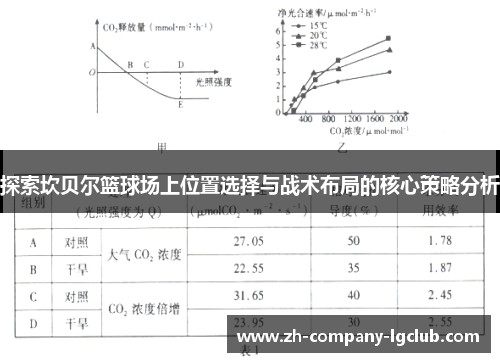 探索坎贝尔篮球场上位置选择与战术布局的核心策略分析
