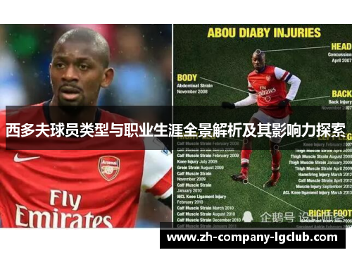西多夫球员类型与职业生涯全景解析及其影响力探索