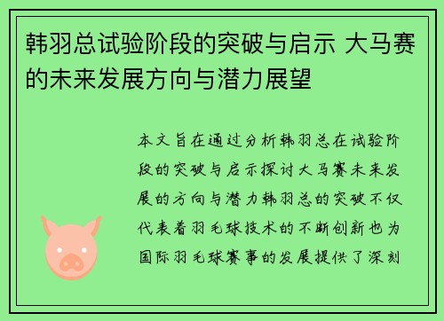 韩羽总试验阶段的突破与启示 大马赛的未来发展方向与潜力展望